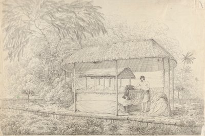 Waheiadooa, Häuptling von Oheitepha, im Staat liegend von John Webber