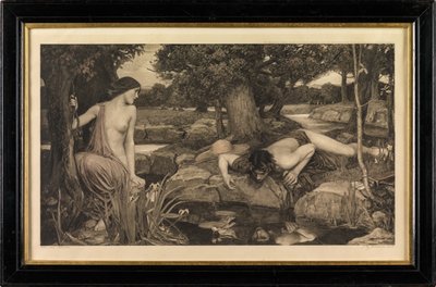 Echo und Narziss von John William Waterhouse