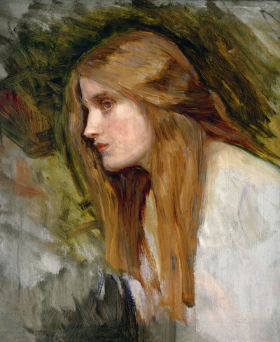 Kopf eines Mädchens, ca. 1896 von John William Waterhouse