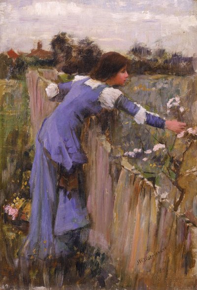 Die Blumenpflückerin von John William Waterhouse
