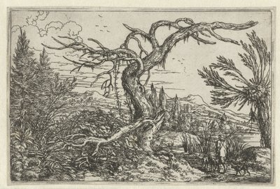 Landschaft mit dem dürren Baum von Jonas Umbach