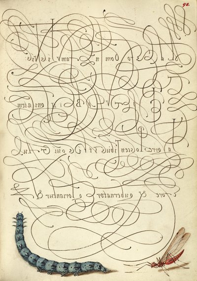 Raupe und Insekt von Joris Hoefnagel