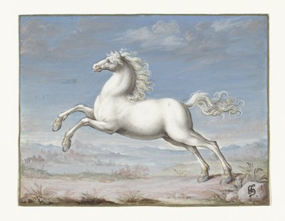 Weißes Pferd von Joris Hoefnagel