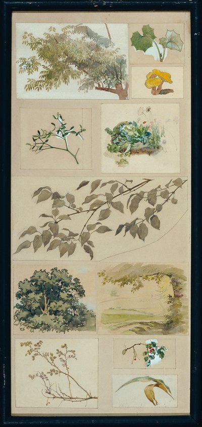 Studien nach der Natur von Josef Wawra