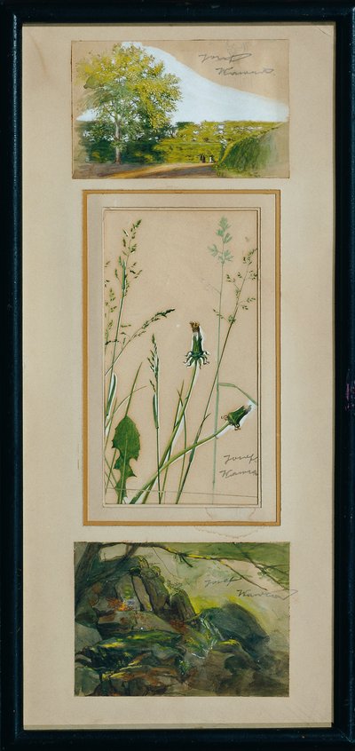 Studien nach der Natur von Josef Wawra