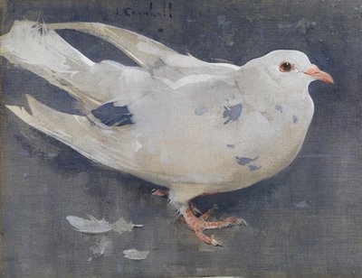 Die Taube von Joseph Crawhall