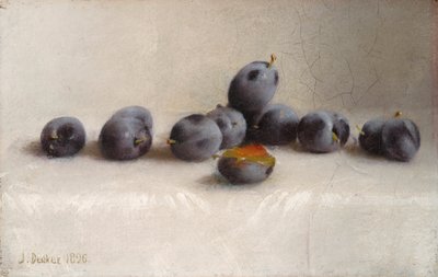 Zwölf Pflaumen von Joseph Decker