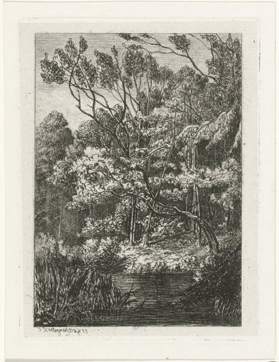 Waldansicht von Joseph Hartogensis