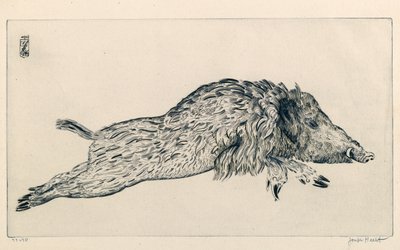 Wildschwein (Le Sanglier) (Gravur) von Joseph Hecht