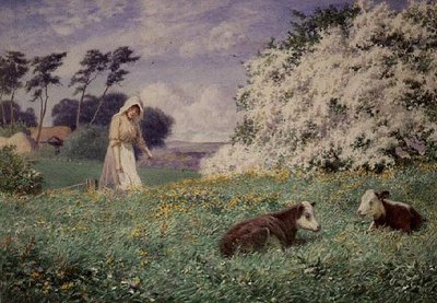 Die Kälber füttern von Joseph Kirkpatrick