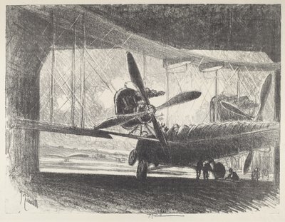 Der große Käfer von Joseph Pennell