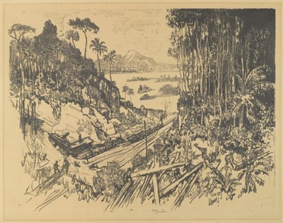 Der Dschungel, 1912 von Joseph Pennell