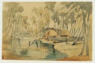 Palmenhain auf Ceylon (Sri Lanka) von Joseph Selleny