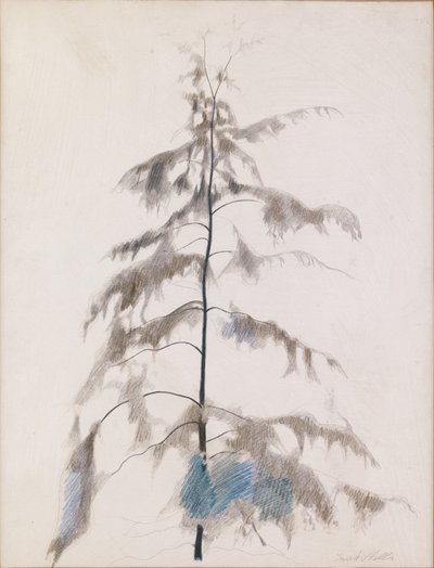 Kiefer von Joseph Stella