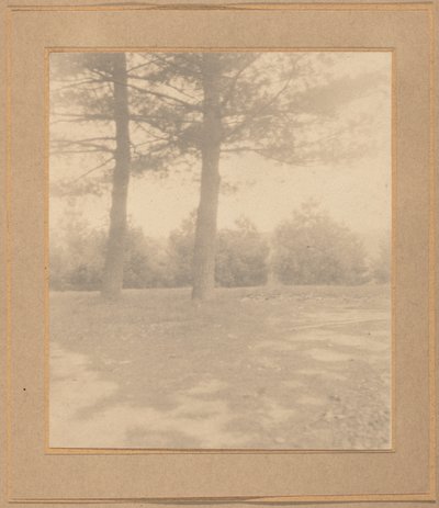 Landschaft mit Bäumen, ca. 1900 von Joseph Turner Keiley