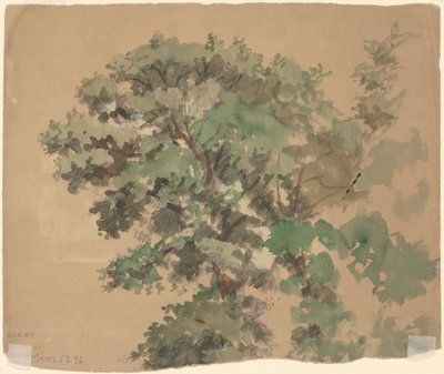 Baum [verso] von Jr. Enoch Wood Perry