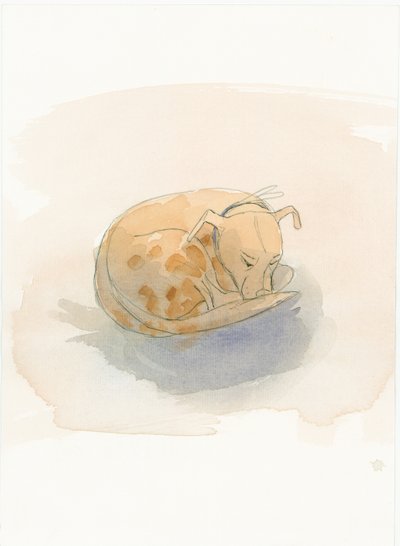 Schlafender Hund, 2003 von Judith Dobie