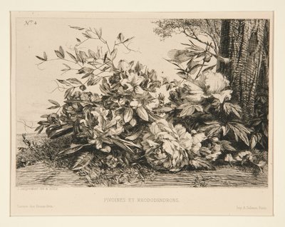 Pfingstrosen und Rhododendren von Jules Ferdinand Jacquemart