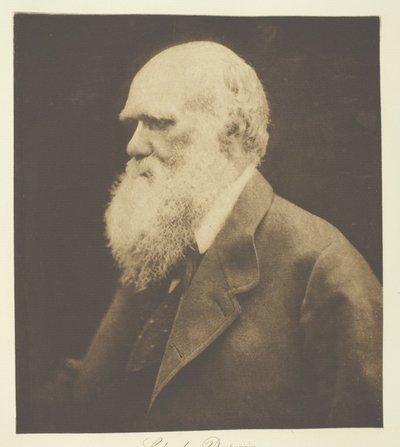 Charles Darwin von Julia Margaret Cameron