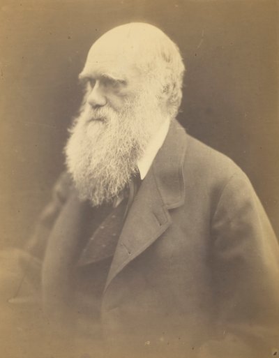 Charles Darwin, 1868 von Julia Margaret Cameron