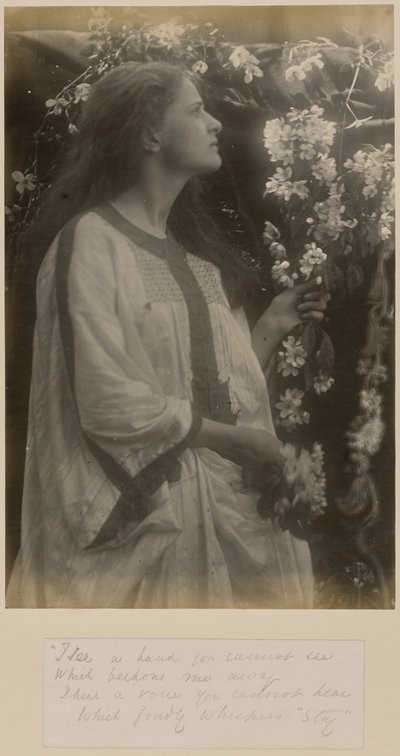 Frühling von Julia Margaret Cameron