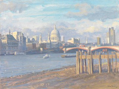 St. Pauls von Süden von Julian Barrow