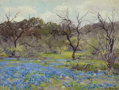 Früher Frühling—Blauhauben und Mesquite von Julian Onderdonk