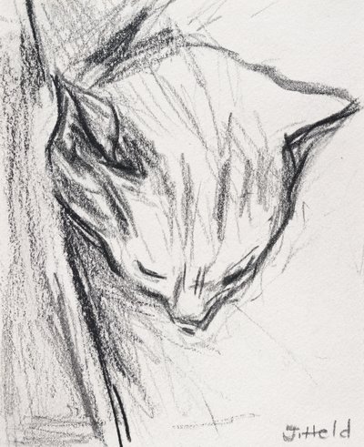 Schlafende Katze, 2015 von Julie Held