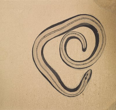 Blindschleiche von Julie de Graag