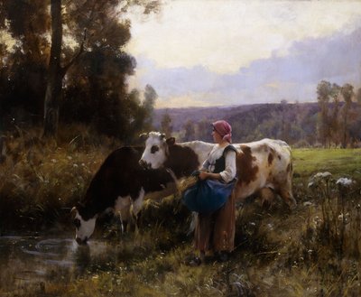Kühe am Wasserloch von Julien Dupre