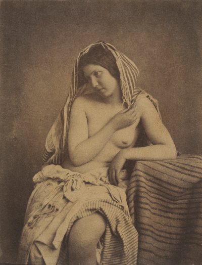 Studie nach der Natur von Julien Vallou de Villeneuve