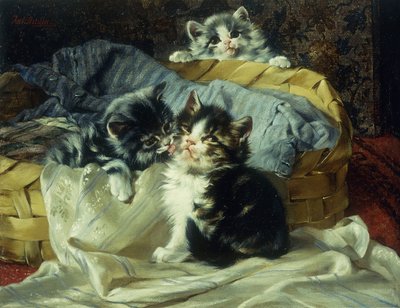 Verspielte Kätzchen von Julius Adam