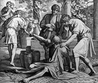 Noah Geschichte von Julius Schnorr von Carolsfeld