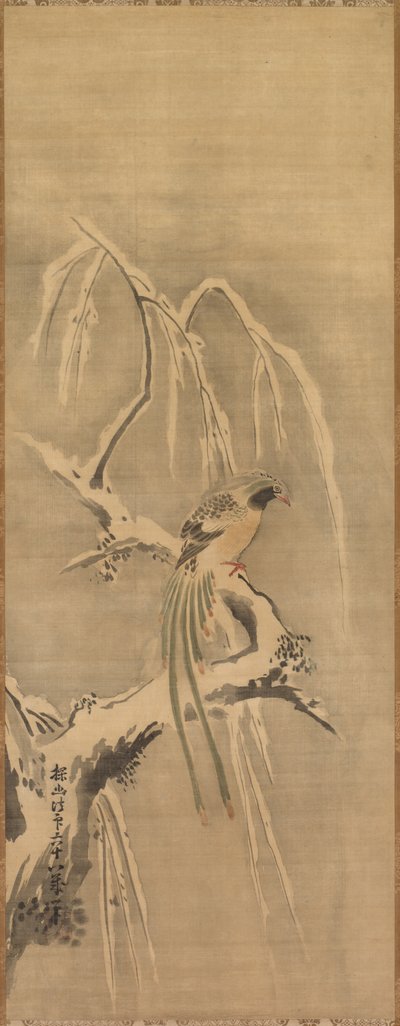 Chinesischer Vogel auf schneebedecktem Ast von Kanō Tan’yū