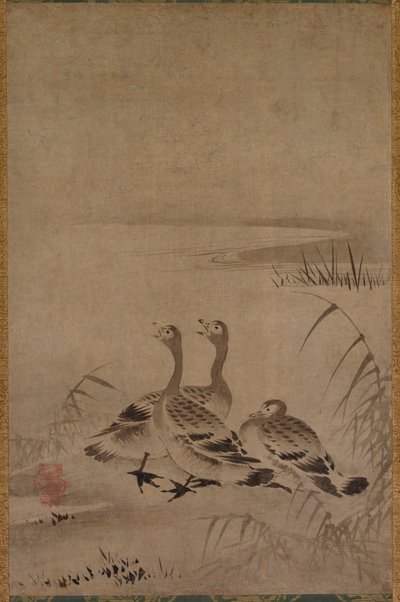 Wildgänse, frühe 1500er von Kano Chokichi