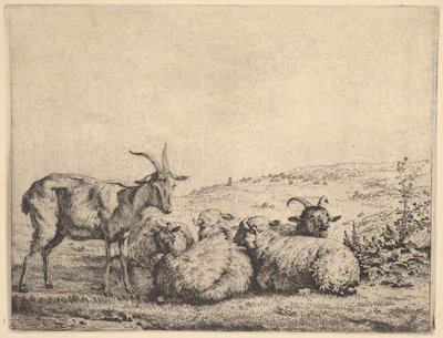 Zwei Ziegen und drei Schafe, 1655 von Karel Du Jardin