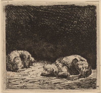 Hund und Katze von Karel Dujardin
