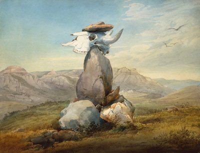 Assinboin Medizinzeichen von Karl Bodmer