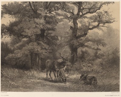 Hirsche auf der Weide von Karl Bodmer