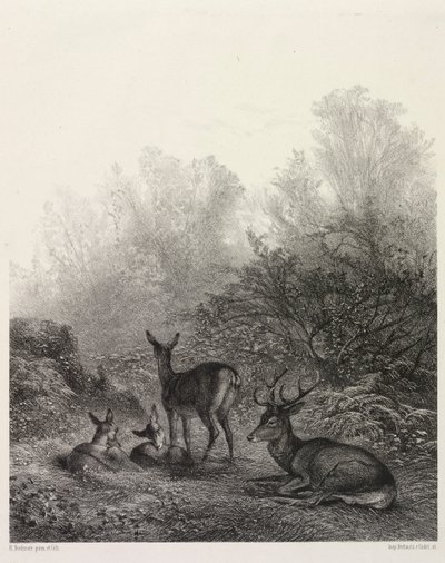 Hirsche im Ruhestand von Karl Bodmer