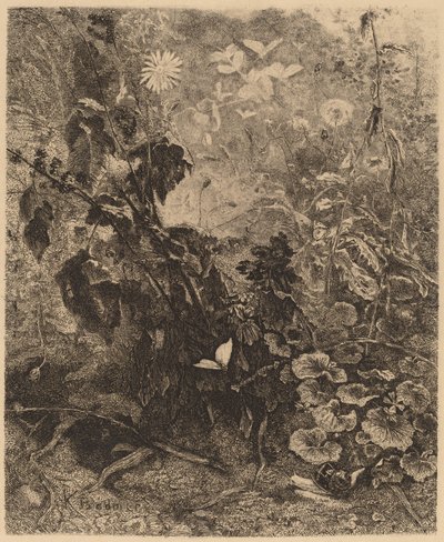 Schnecken und Schmetterlinge von Karl Bodmer