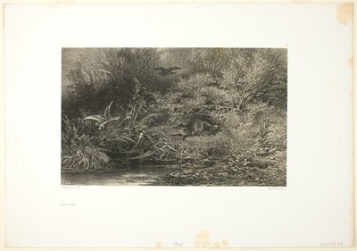 Fuchs auf der Pirsch von Karl Bodmer