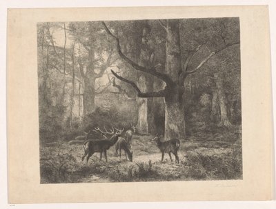 Hirsche im Wald von Karl Bodmer