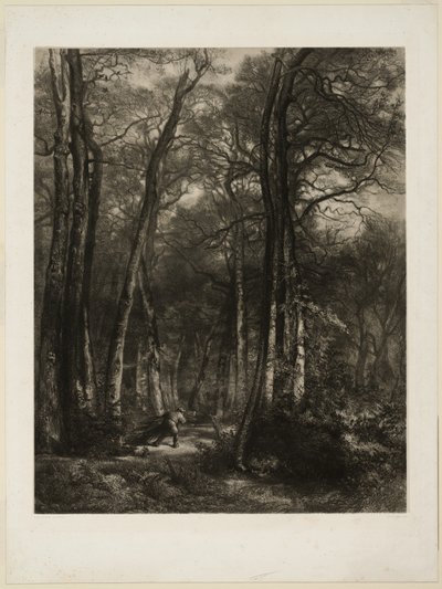 Im Wald von Karl Bodmer