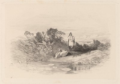 Les Deux Herons von Karl Bodmer