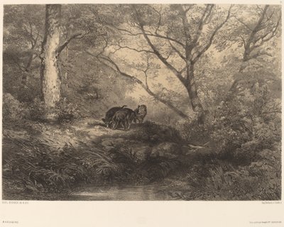 Frischlinge von Karl Bodmer