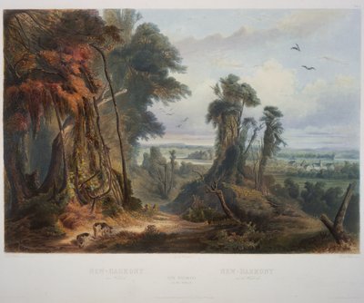 New Harmony am Wabash von Karl Bodmer