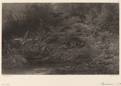 Renard auf der Lauer von Karl Bodmer