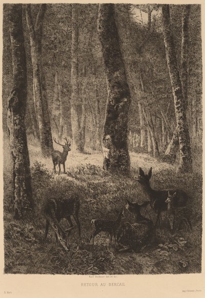 Rückkehr zum Heimathafen von Karl Bodmer