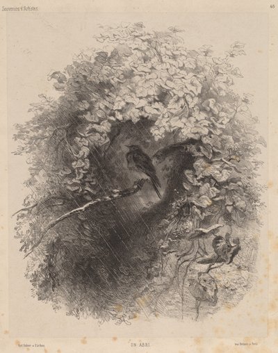 Ein Unterschlupf von Karl Bodmer